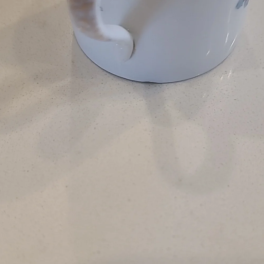 Carl Tielsch Germany Porcelain Mini Mug